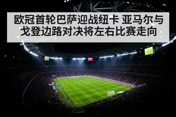 football stadium floodlights crowd